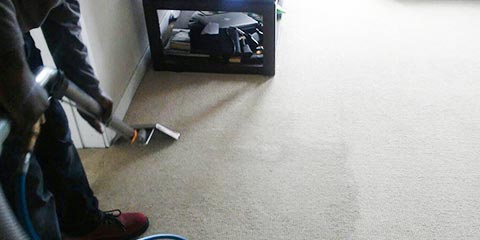 Carpet Steam Cleaning DC Area
