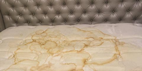 mattress odor removal service