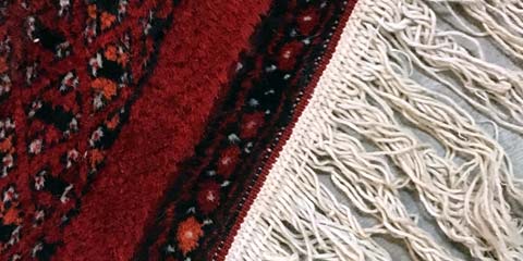 Oriental Rug Treatment