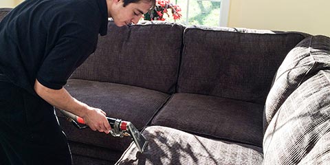 Corduroy Sofa Steam Cleaning