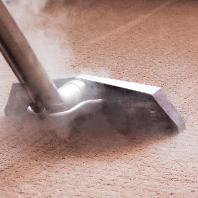 Carpet Disinfection and Sanitizing