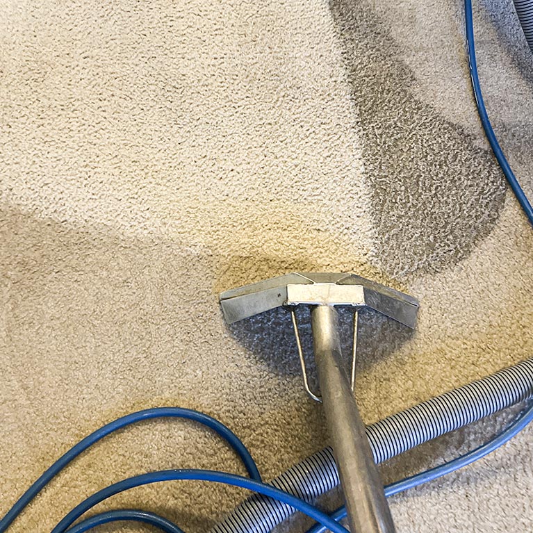 Steam Carpet Cleaning vs Encapsulation Carpet Cleaning: Which One Works Better?