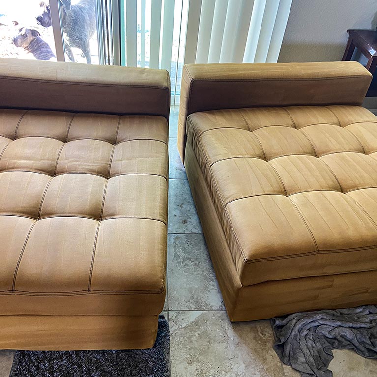 Our Professional Upholstery Cleaning Process