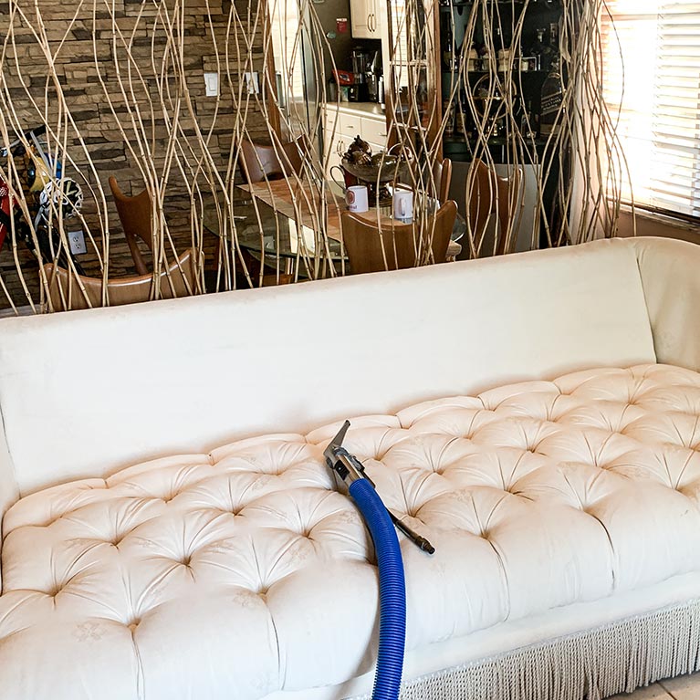 Professional vs DIY Couch and Sofa Cleaning