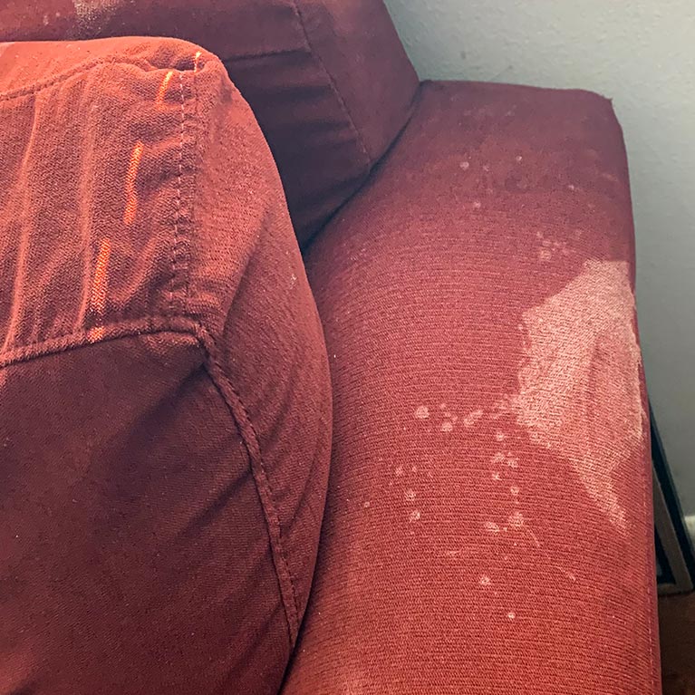 Reasons You Should Clean Your Upholstered Furniture