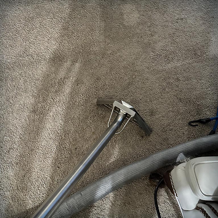 Do Carpets Impair Indoor Air Quality: Study Overview