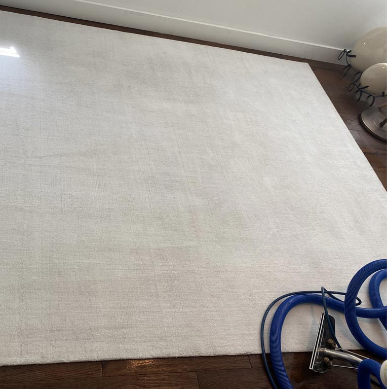 How Professional Cleaning Can Benefit Your Rugs