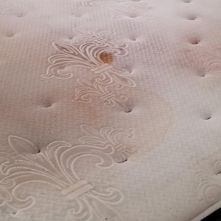 Cleaning Your Mattress & How to Do it Right